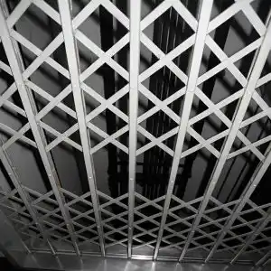 حفاظ آکاردئونی ایتالیایی در کرمان