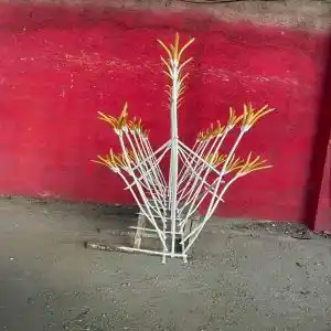 حفاظ غنچه ای در کرمان