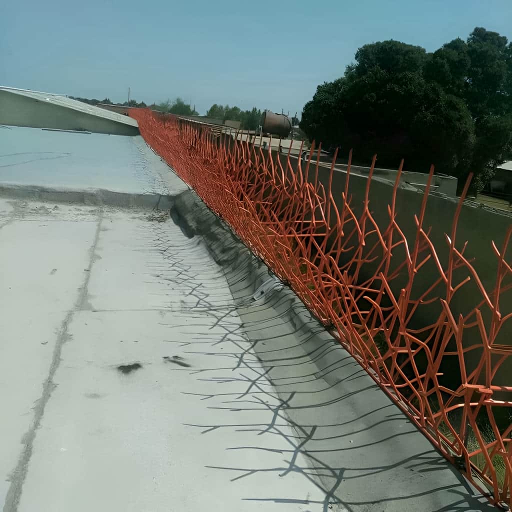 آشنایی با حفاظ بوته ای تراکم 53 در کرمان