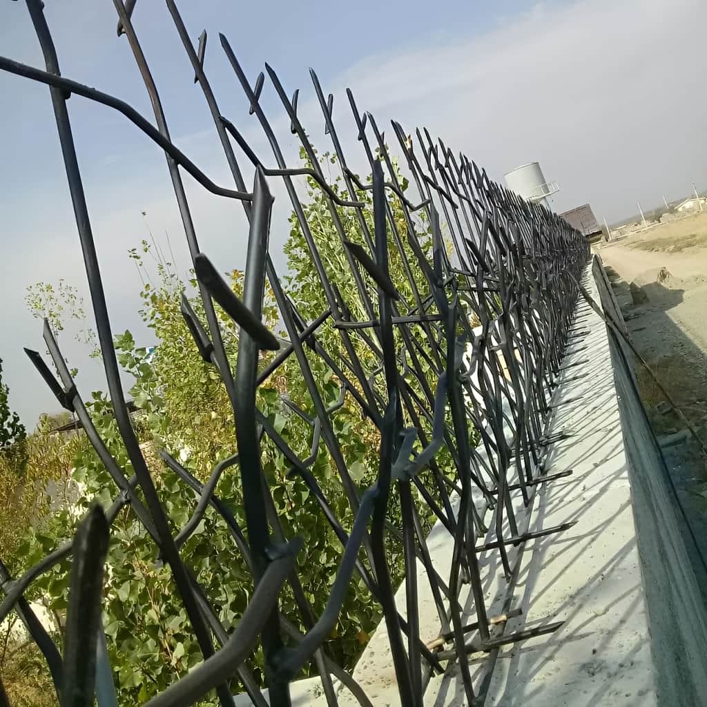 معرفی حفاظ شاخ گوزنی تراکم 34 در کرمان