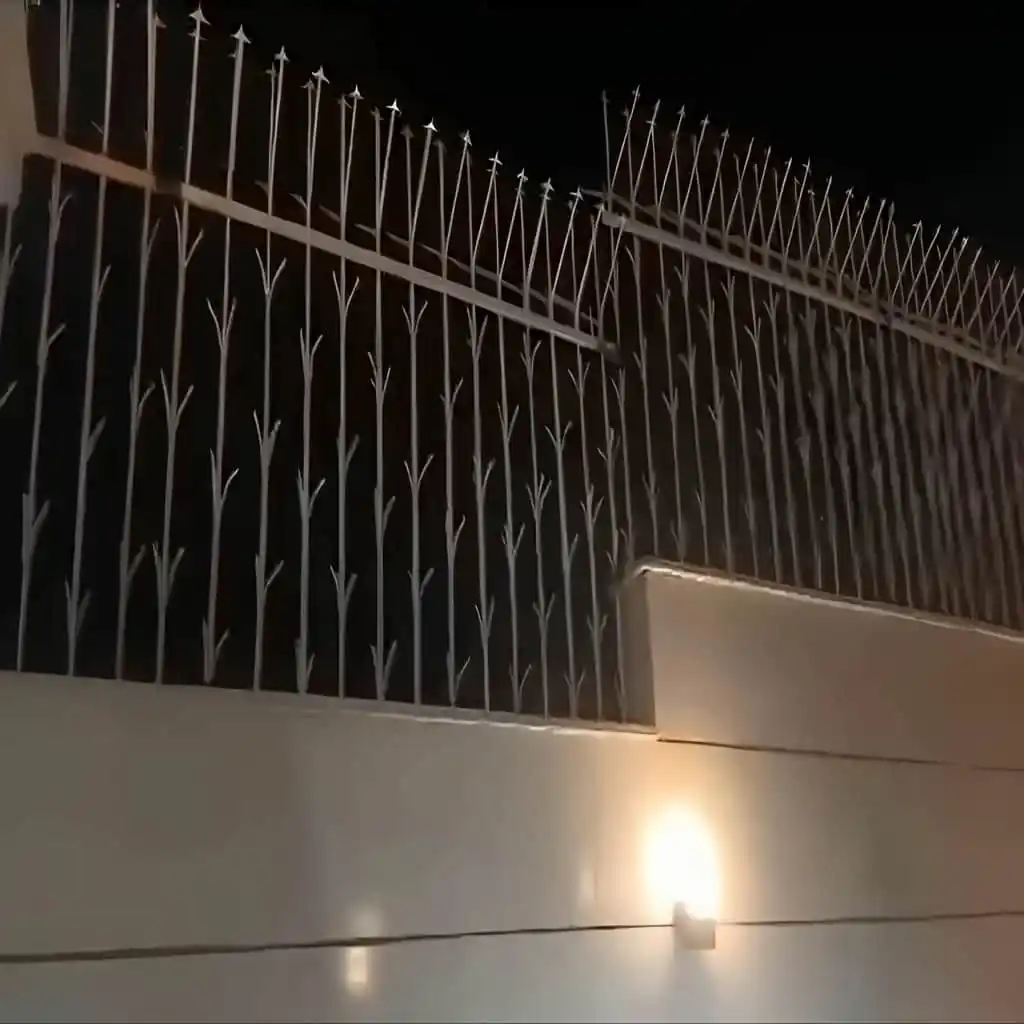 مشخصات حفاظ شمشادی در کرمان
