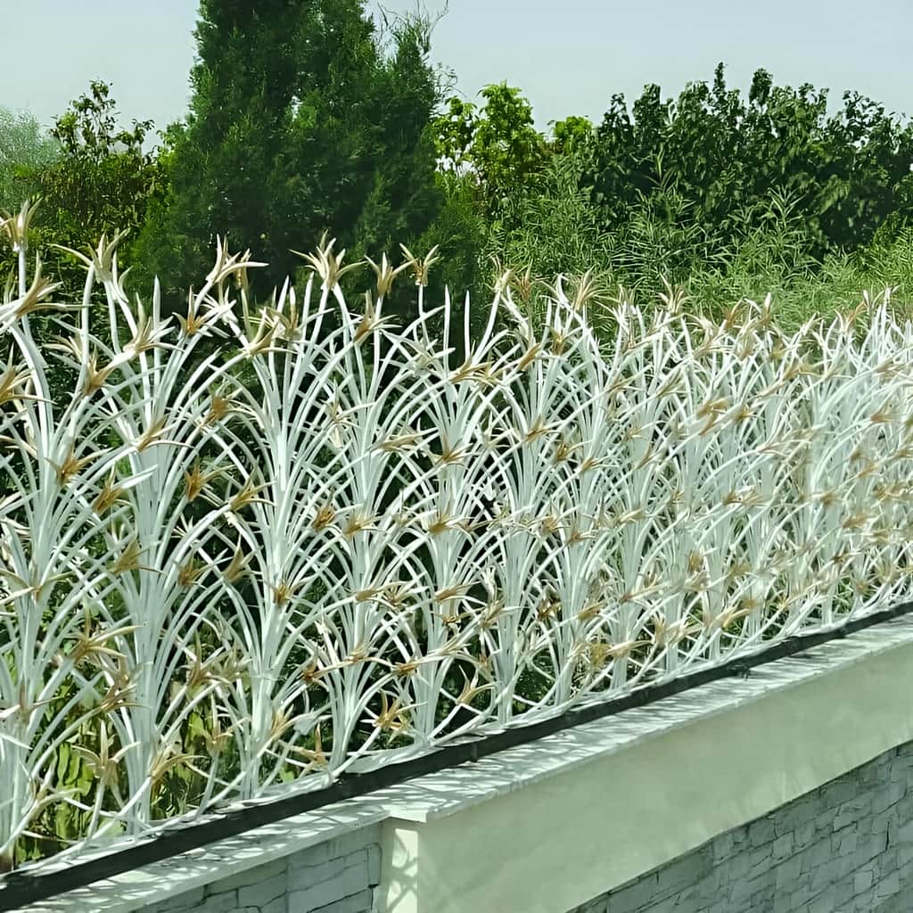 آشنایی با حفاظ لیلیوم در کرمان