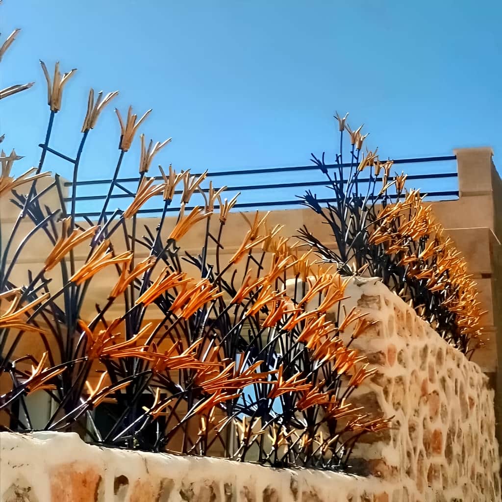 معرفی حفاظ لیلیوم در کرمان