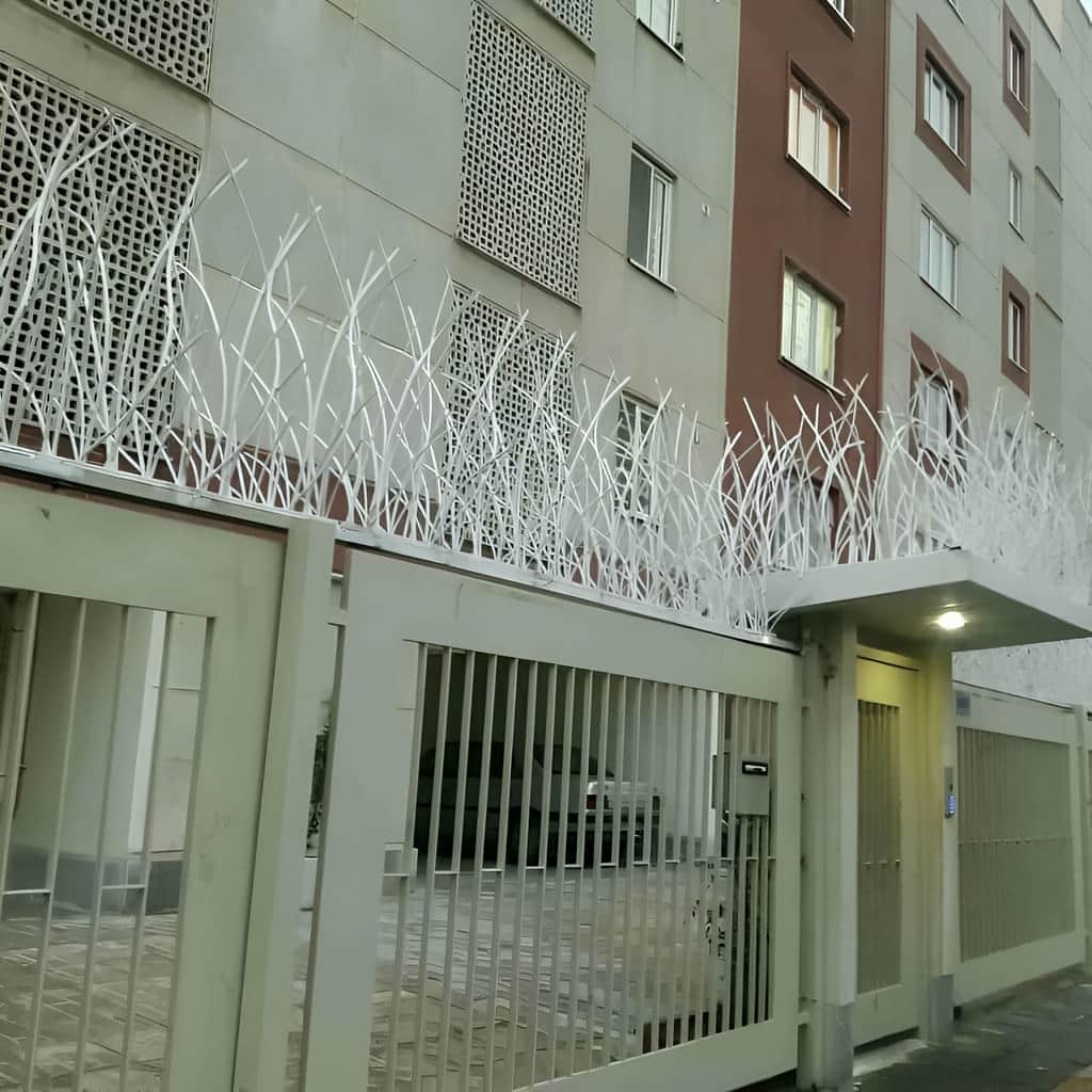 سفارش حفاظ نیزار برای دیوار باغ با تراکم متناسب در کرمان