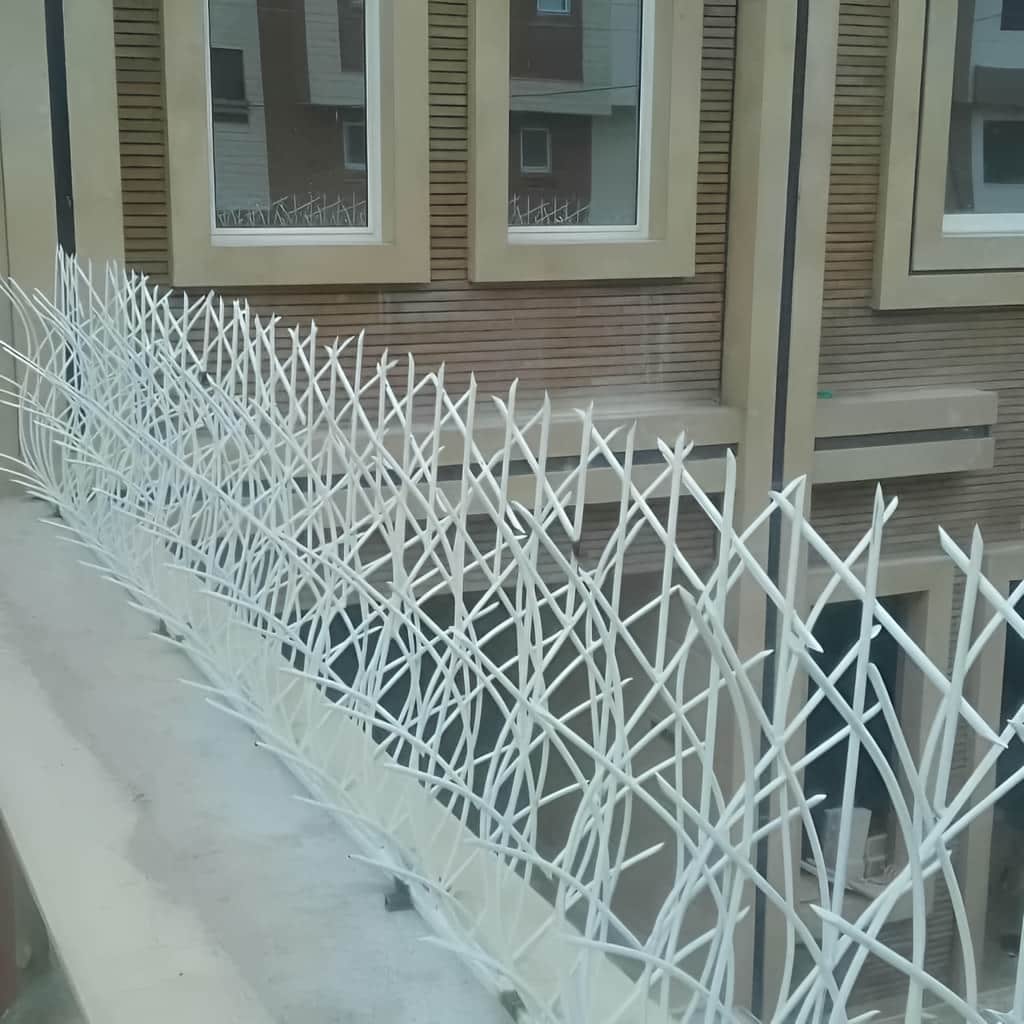 خرید حفاظ نیزار دیوار باغ با مشاوره انتخاب مدل در کرمان