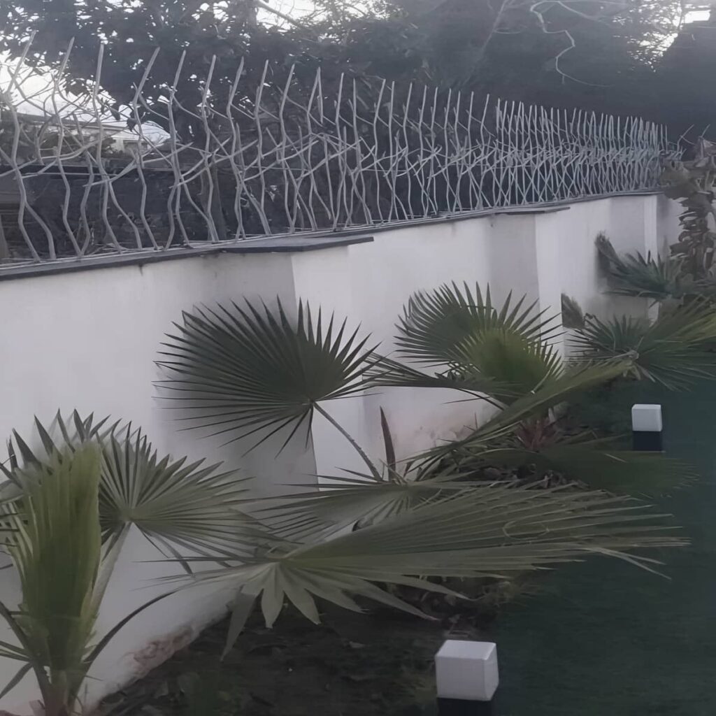 سفارش حفاظ دیوار شاخ گوزنی با انتخاب تراکم و ارتفاع در کرمان