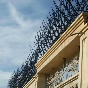 11 طرح حفاظ شاخ گوزنی دیوار باغ ویلا در کرمان