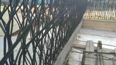 حفاظ شاخ گوزنی طرح f اقتصادی کرمان