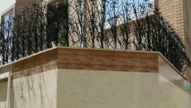 حفاظ نخل مرداب فلزی کرمان با پوشش رنگ مشکی